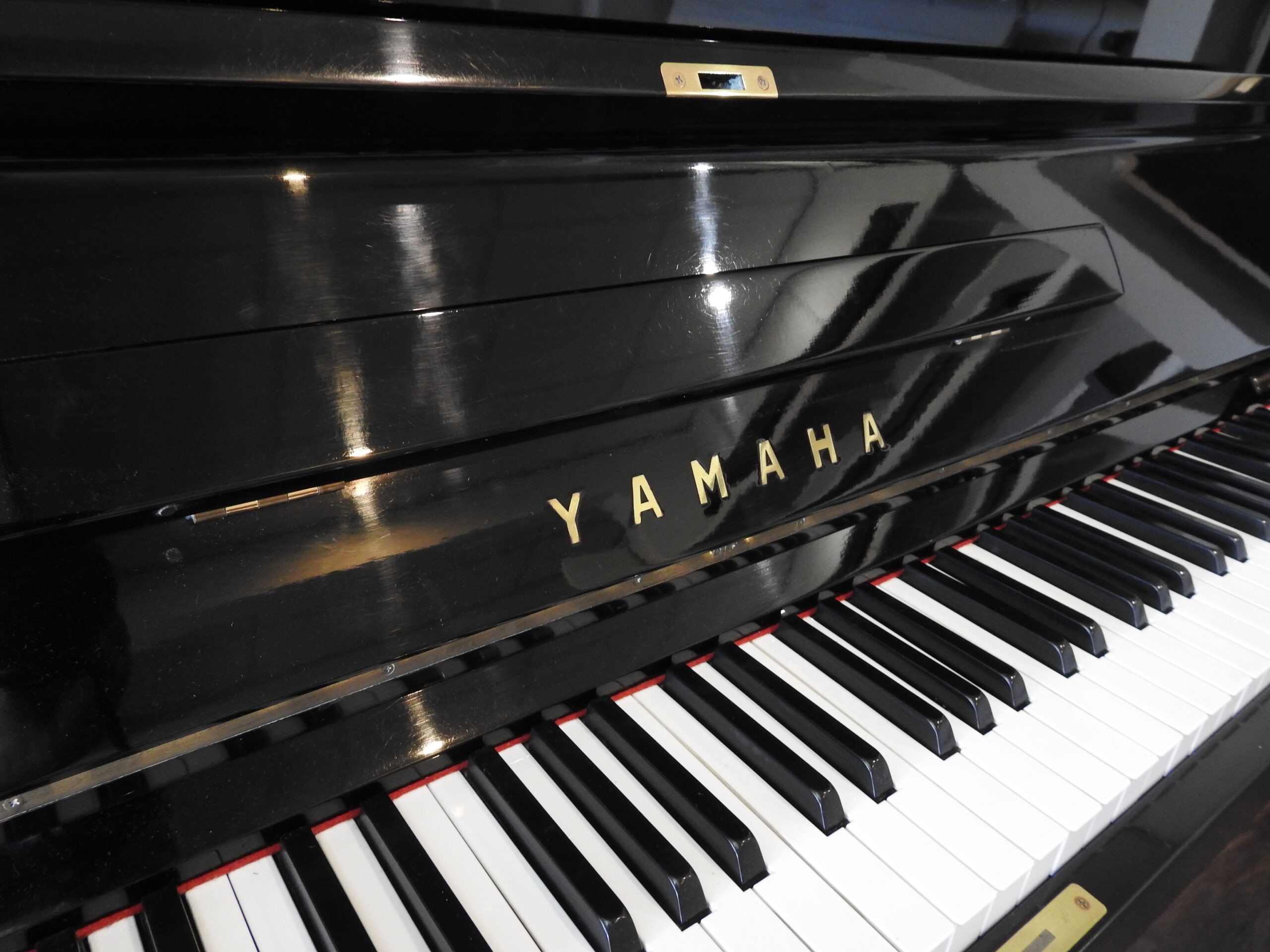DSCN3982